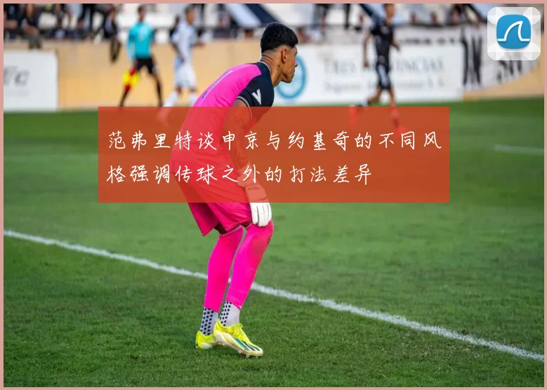 范弗里特谈申京与约基奇的不同风格强调传球之外的打法差异