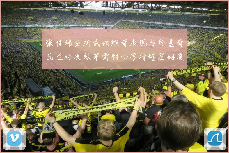 张佳玮分析武切维奇表现与约基奇瓦兰对决绿军需耐心等待塔图姆复出