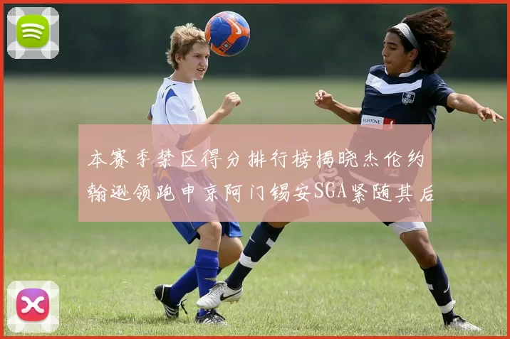 本赛季禁区得分排行榜揭晓杰伦约翰逊领跑申京阿门锡安SGA紧随其后
